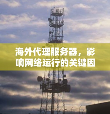 海外代理服务器,影响网络运行的关键因素