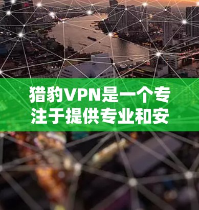 猎豹VPN是一个专注于提供专业和安全VPN服务的公司,专注于保护用户数据的安全性。以下是对猎豹VPN的详细介绍