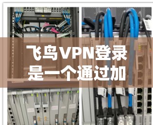飞鸟VPN登录是一个通过加密通信连接到外部网络的服务，通常通过手机应用或下载服务直接登录。以下是一个详细的步骤指南，帮助您完成飞鸟VPN登录