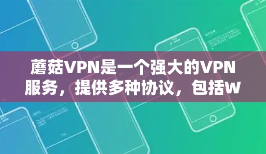蘑菇VPN是一个强大的VPN服务，提供多种协议，包括Wi-Fi、HTTP、VPN等。如果你需要登录蘑菇VPN，通常可以通过以下几种方式