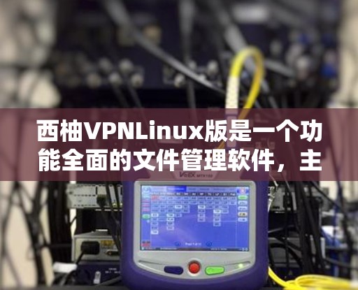 西柚VPNLinux版是一个功能全面的文件管理软件，主要用于文件管理、文件传输、文件同步、文件恢复、文件删除等多个领域。以下是关于该软件的详细信息