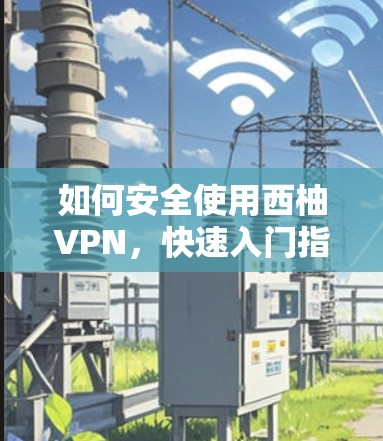 如何安全使用西柚VPN，快速入门指南