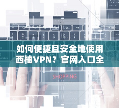如何便捷且安全地使用西柚VPN？官网入口全解析