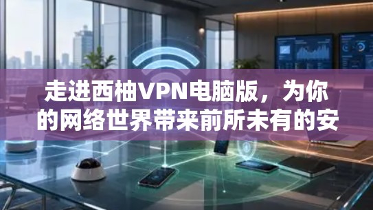 走进西柚VPN电脑版，为你的网络世界带来前所未有的安全