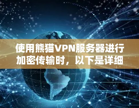 使用熊猫VPN服务器进行加密传输时,以下是详细的步骤指南
