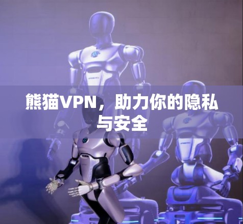 熊猫VPN,助力你的隐私与安全