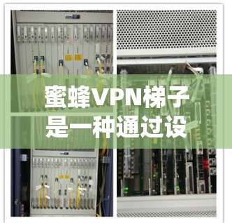蜜蜂VPN梯子是一种通过设置一系列服务器来绕过 cookies 的VPN技巧,帮助用户更好地访问目标网站。以下是对该方法的详细总结和步骤说明