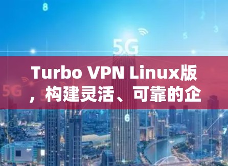 Turbo VPN Linux版,构建灵活、可靠的企业级VPN