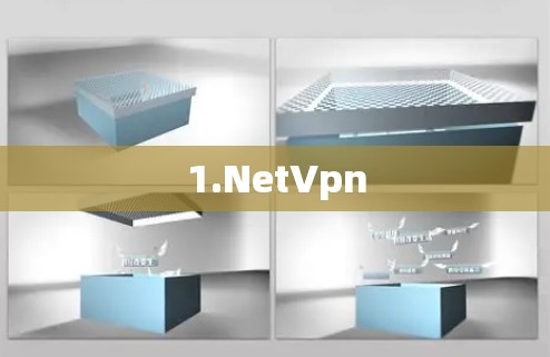 1.NetVpn