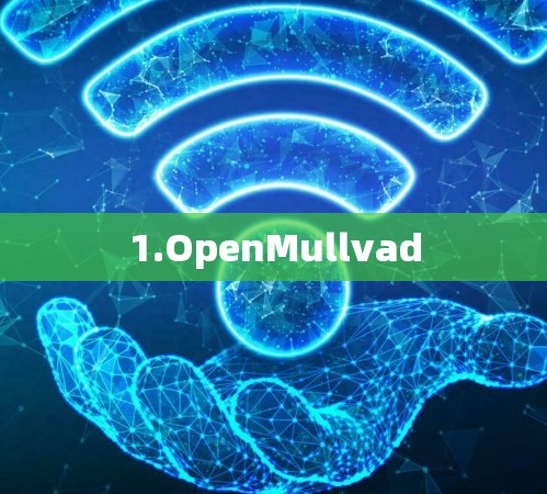 1.OpenMullvad 1.OpenMullvad