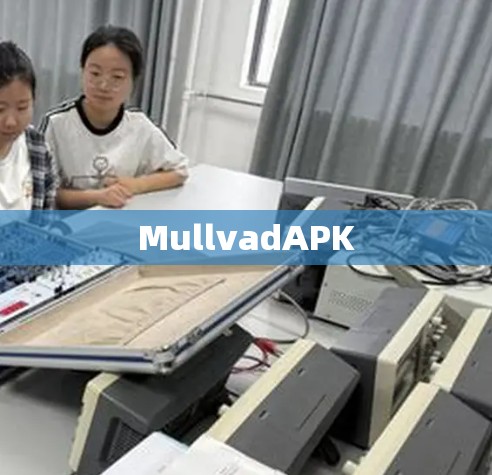 MullvadAPK MullvadAPK