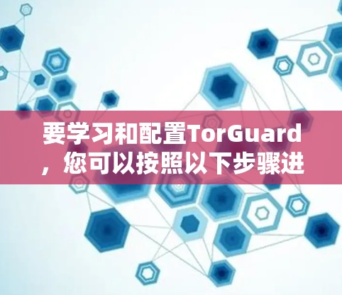 要学习和配置TorGuard,您可以按照以下步骤进行 要学习和配置TorGuard,您可以按照以下步骤进行