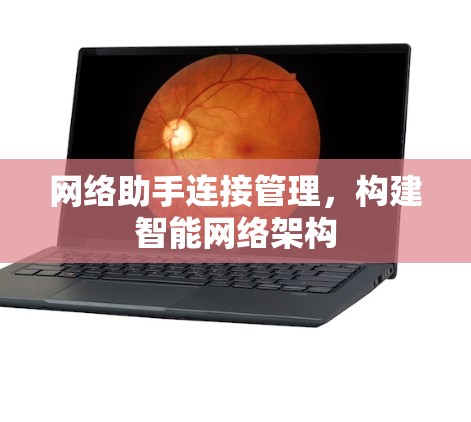 网络助手连接管理,构建智能网络架构 网络助手连接管理,构建智能网络架构