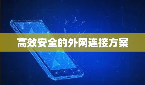 高效安全的外网连接方案 高效安全的外网连接方案