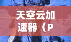 天空云加速器(Particle Accelerator)是用于研究高能粒子动力学和高能物理的大型设备,其节点测速是评估其性能的关键指标。以下是对天空云加速器节点测速的详细总结 天空云加速器(Particle Accelerator)是用于研究高能粒子动力学和高能物理的大型设备,其节点测速是评估其性能的关键指标。以下是对天空云加速器节点测速的详细总结