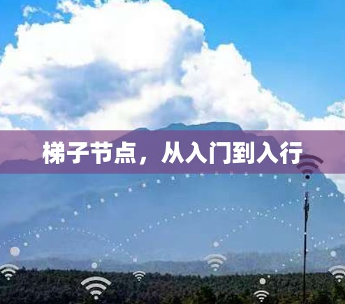 梯子节点,从入门到入行 梯子节点,从入门到入行