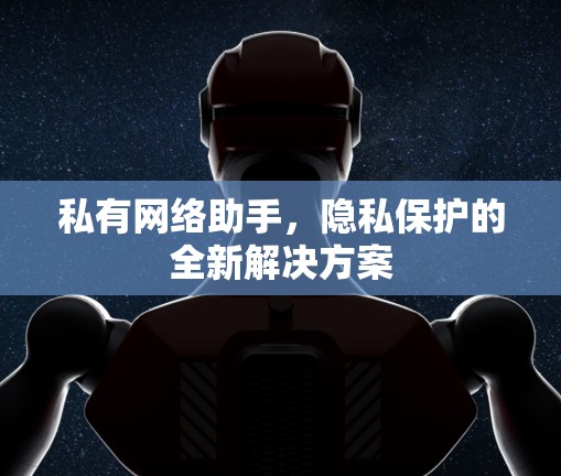 私有网络助手,隐私保护的全新解决方案 私有网络助手,隐私保护的全新解决方案