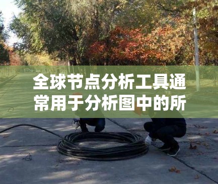 全球节点分析工具通常用于分析图中的所有节点(nodes)及其属性和作用。以下是一些常见的全球节点分析工具及其适用场景 全球节点分析工具通常用于分析图中的所有节点(nodes)及其属性和作用。以下是一些常见的全球节点分析工具及其适用场景