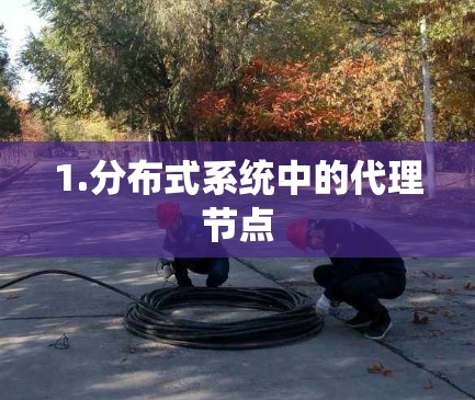 1.分布式系统中的代理节点 1.分布式系统中的代理节点