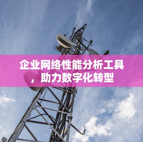 企业网络性能分析工具,助力数字化转型 企业网络性能分析工具,助力数字化转型