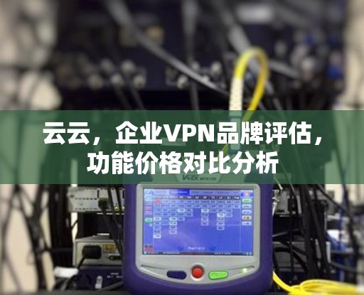 云云,企业VPN品牌评估,功能价格对比分析 云云,企业VPN品牌评估,功能价格对比分析