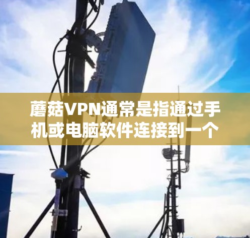 蘑菇VPN通常是指通过手机或电脑软件连接到一个远程服务器,用于VPN(虚拟网络)如果你想使用蘑菇VPN手机端,通常需要按照以下步骤操作 蘑菇VPN通常是指通过手机或电脑软件连接到一个远程服务器,用于VPN(虚拟网络)如果你想使用蘑菇VPN手机端,通常需要按照以下步骤操作