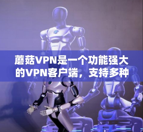 蘑菇VPN是一个功能强大的VPN客户端,支持多种协议,包括VPN、端到端和端到端端到端协议(L2PL)等。以下是安装蘑菇VPN客户端的步骤 蘑菇VPN是一个功能强大的VPN客户端,支持多种协议,包括VPN、端到端和端到端端到端协议(L2PL)等。以下是安装蘑菇VPN客户端的步骤