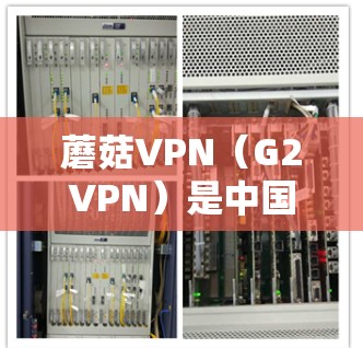 蘑菇VPN(G2VPN)是中国市场上提供VPN服务的主要平台之一,特别针对中国用户。如果你需要VPN服务,蘑菇VPN可以提供机场节点或高速服务器。以下是一些推荐的机场节点和高速服务器 蘑菇VPN(G2VPN)是中国市场上提供VPN服务的主要平台之一,特别针对中国用户。如果你需要VPN服务,蘑菇VPN可以提供机场节点或高速服务器。以下是一些推荐的机场节点和高速服务器
