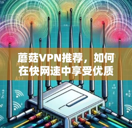 蘑菇VPN推荐,如何在快网速中享受优质服务 蘑菇VPN推荐,如何在快网速中享受优质服务