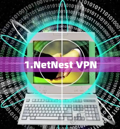 1.NetNest VPN 1.NetNest VPN