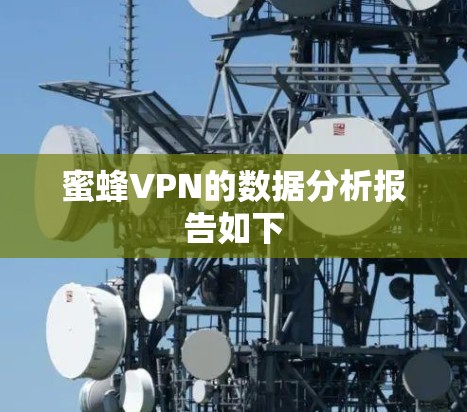 蜜蜂VPN的数据分析报告如下 蜜蜂VPN的数据分析报告如下