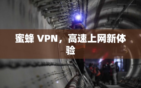 蜜蜂 VPN,高速上网新体验 蜜蜂 VPN,高速上网新体验