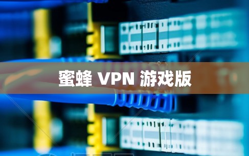 蜜蜂 VPN 游戏版 蜜蜂 VPN 游戏版