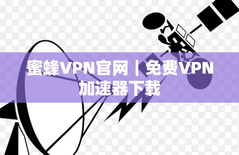 蜜蜂VPN官网|免费VPN加速器下载 蜜蜂VPN官网|免费VPN加速器下载