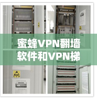 蜜蜂VPN翻墙软件和VPN梯子是现代VPN工具中常用的模块，它们各自有不同的功能和适用场景。以下是对这两种工具的详细分析和推荐