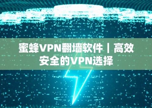 蜜蜂VPN翻墙软件｜高效安全的VPN选择