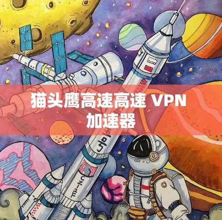 猫头鹰高速高速 VPN 加速器