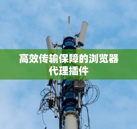 高效传输保障的浏览器代理插件