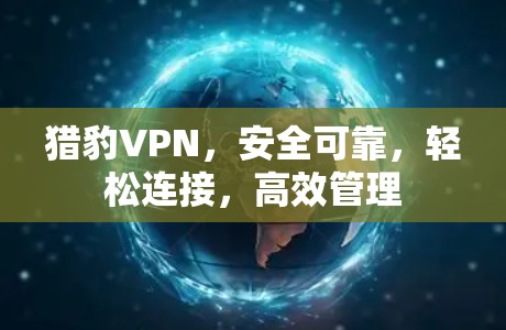 猎豹VPN,安全可靠,轻松连接,高效管理 猎豹VPN,安全可靠,轻松连接,高效管理