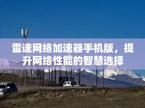 雷速网络加速器手机版，提升网络性能的智慧选择