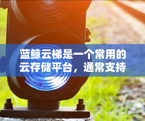 蓝鲸云梯是一个常用的云存储平台,通常支持以下步骤来解决下载文件的问题 蓝鲸云梯是一个常用的云存储平台,通常支持以下步骤来解决下载文件的问题