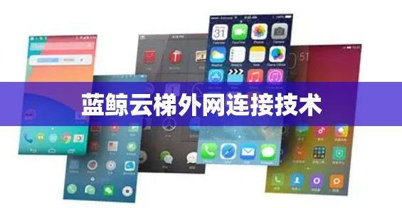 蓝鲸云梯外网连接技术 蓝鲸云梯外网连接技术