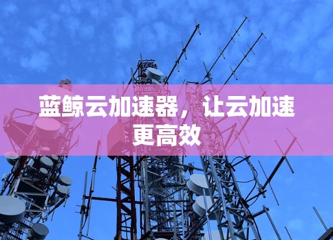 蓝鲸云加速器,让云加速更高效 蓝鲸云加速器,让云加速更高效