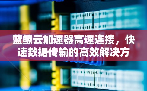 蓝鲸云加速器高速连接，快速数据传输的高效解决方案