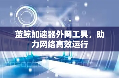 蓝鲸加速器外网工具，助力网络高效运行