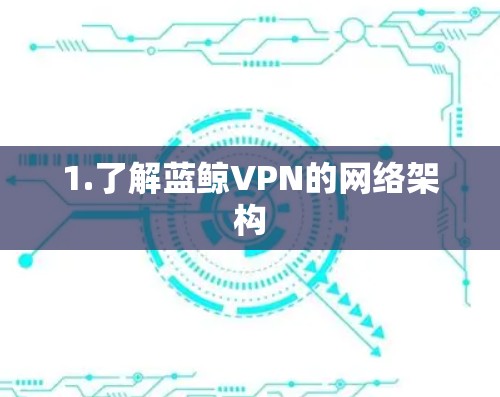 1.了解蓝鲸VPN的网络架构 1.了解蓝鲸VPN的网络架构