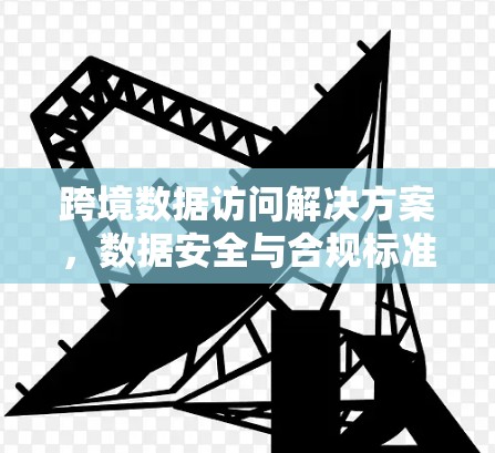 跨境数据访问解决方案，数据安全与合规标准