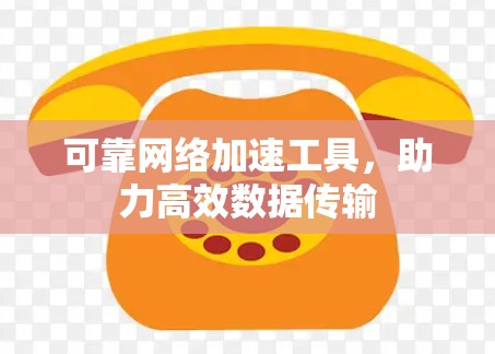 可靠网络加速工具,助力高效数据传输 可靠网络加速工具,助力高效数据传输