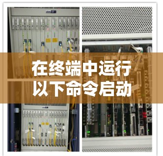 在终端中运行以下命令启动节点测速 在终端中运行以下命令启动节点测速