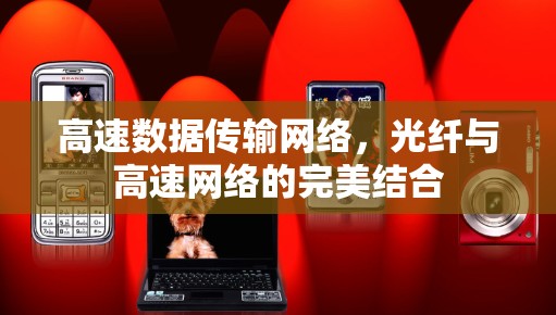 高速数据传输网络,光纤与高速网络的完美结合 高速数据传输网络,光纤与高速网络的完美结合